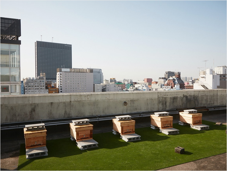 伊勢丹ビルの8階・屋上にある巣箱