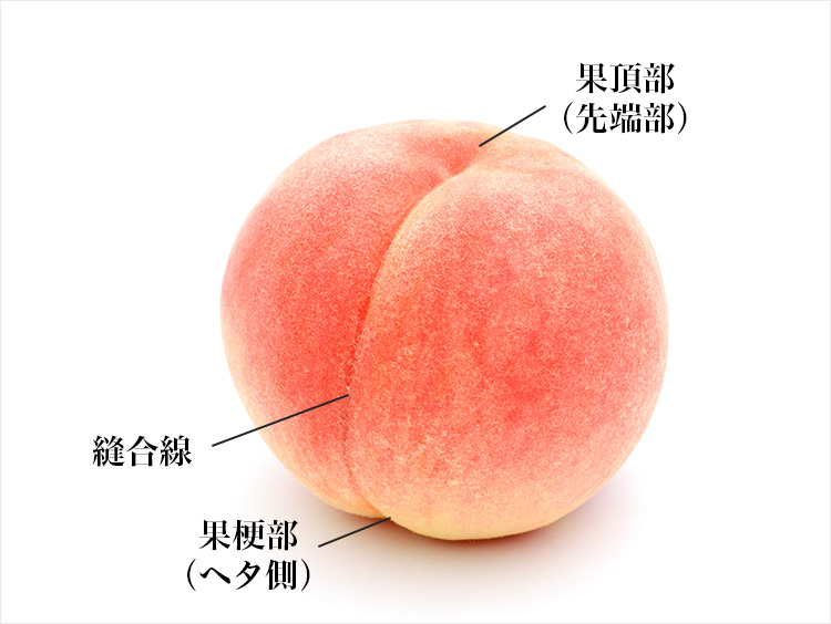 桃の部位