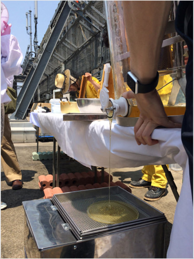 遠心分離機で蜜搾り
