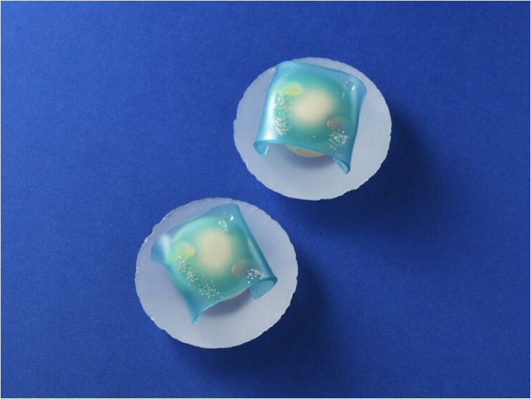 <榮太樓總本鋪>海月の宴