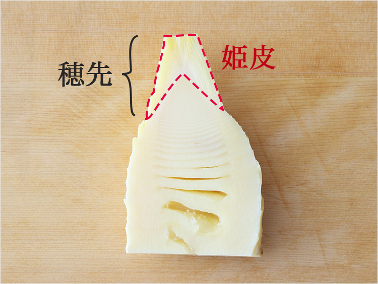 たけのこの断面のイメージ